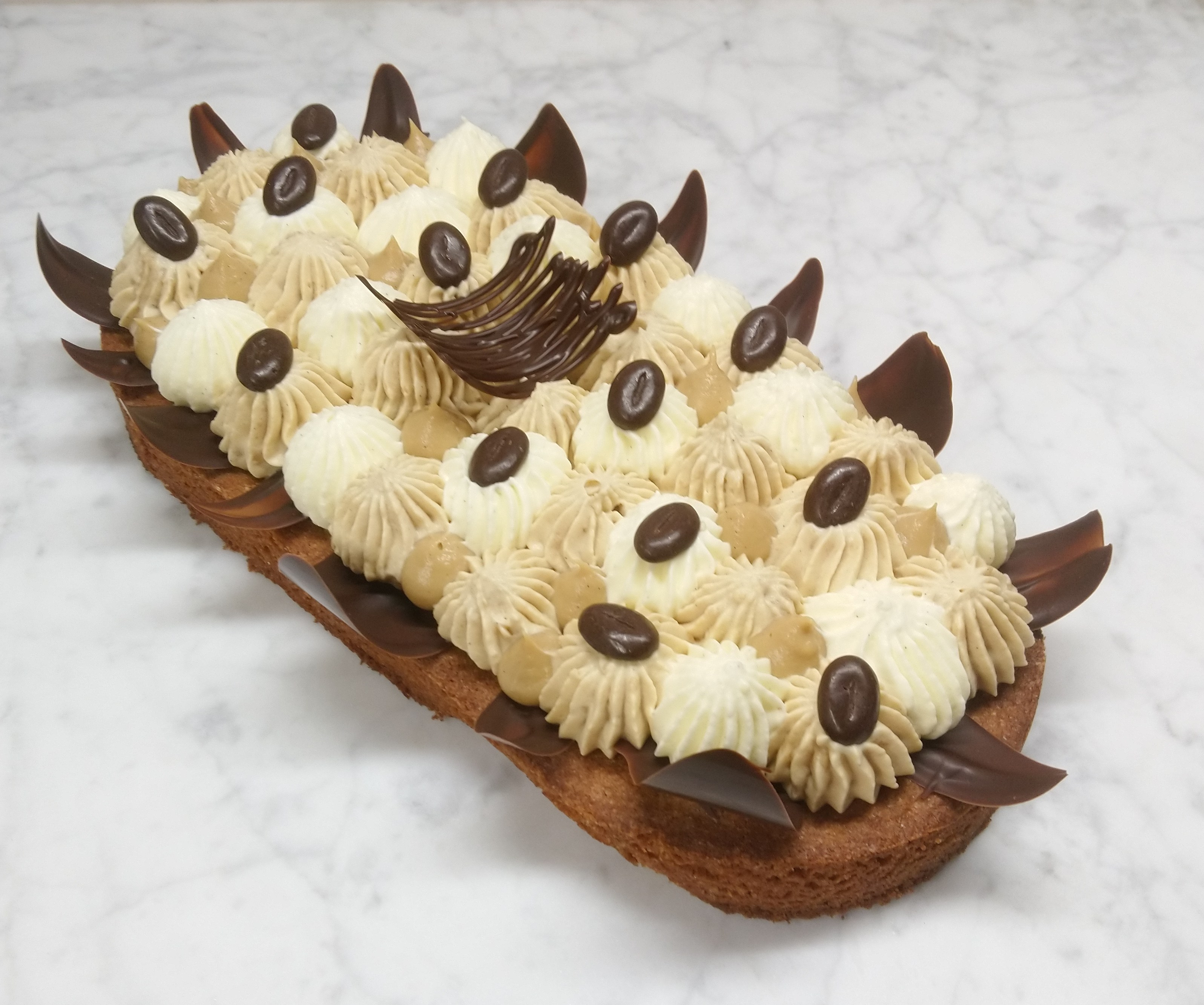 86,88,275,254.962738