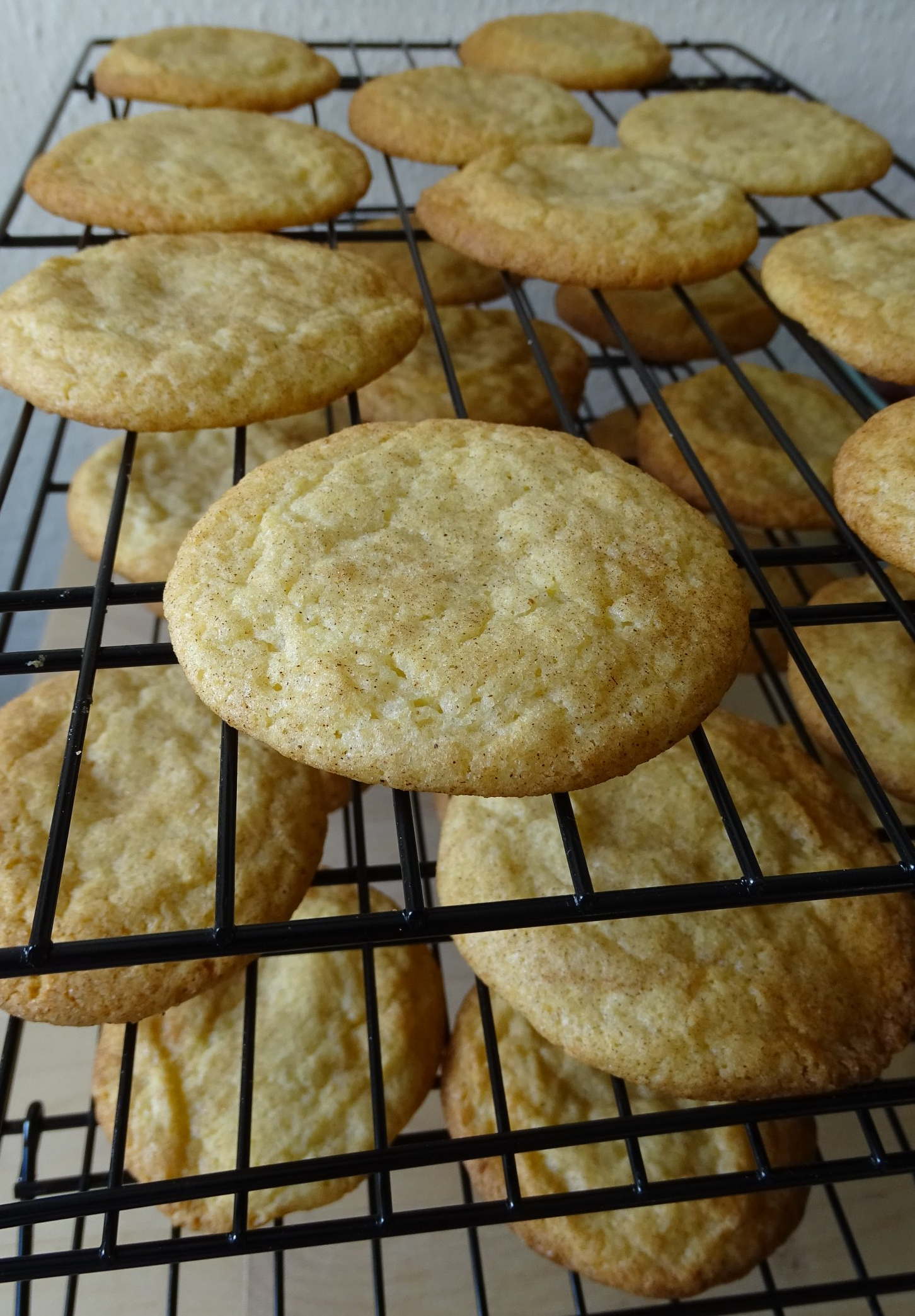Snickerdoodles.jpg